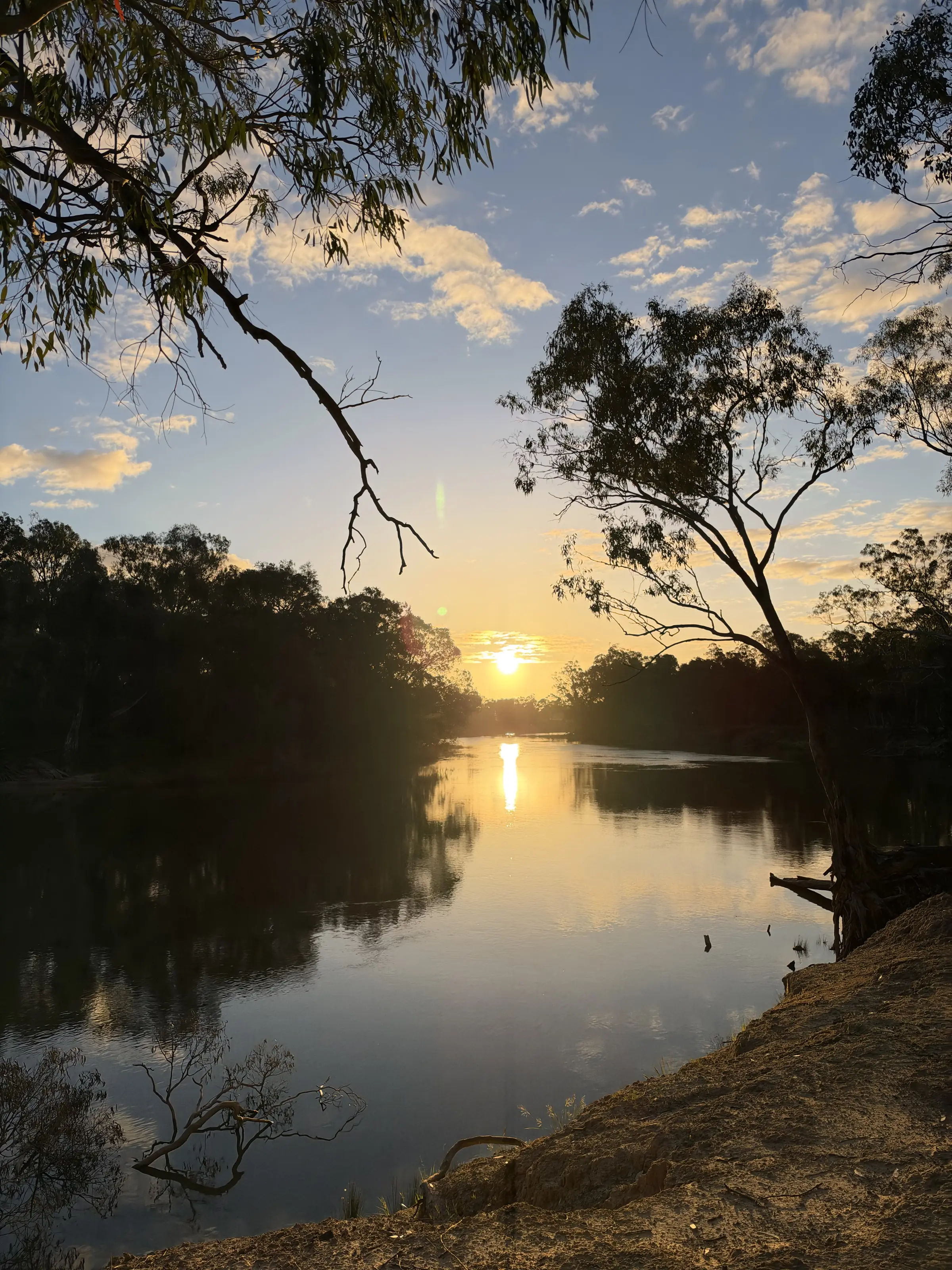 Sunset over the Murray River near Echuca, framed by river red gums