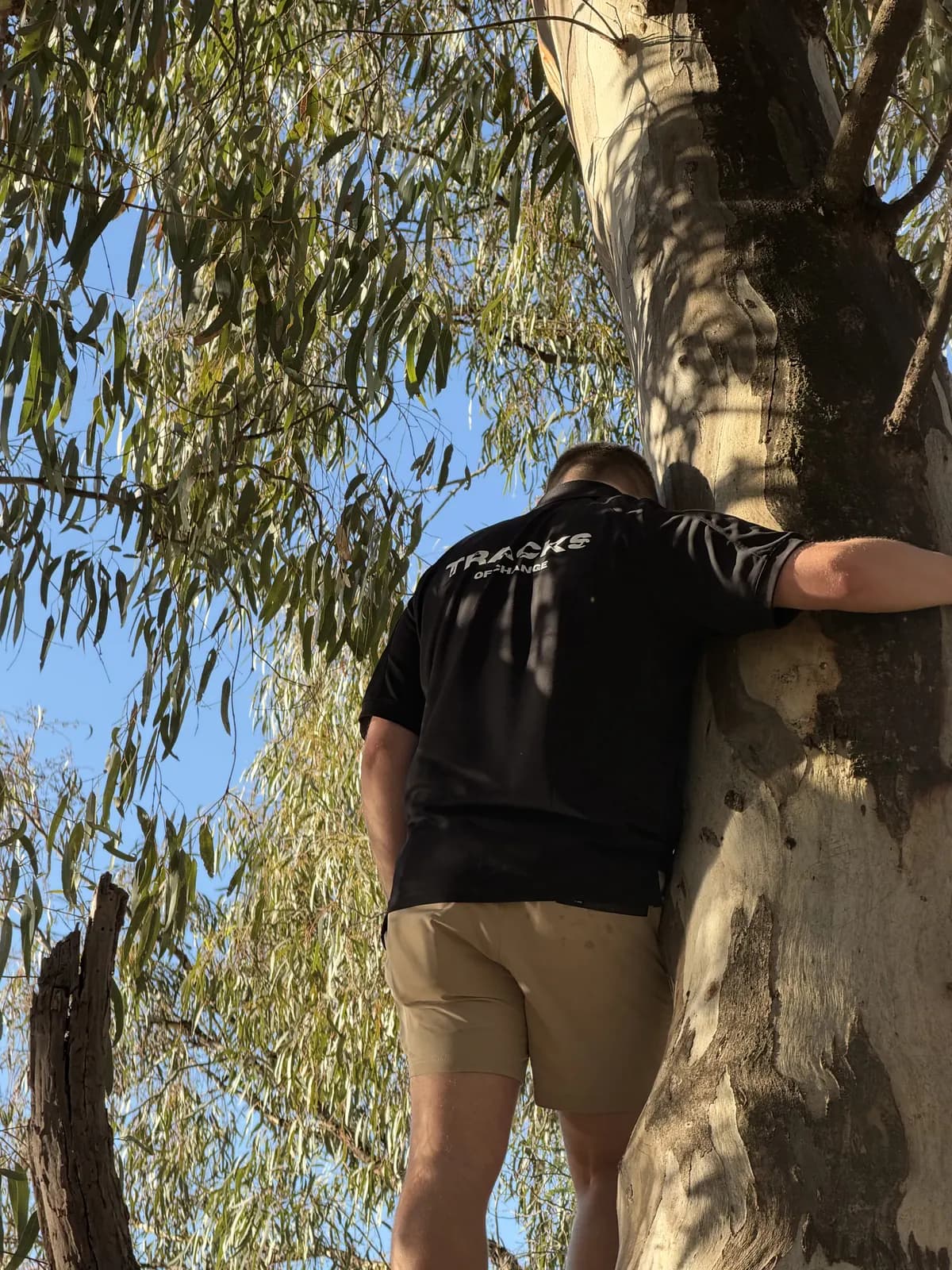 Tracks of Change volunteer resting a hand on a river red gum